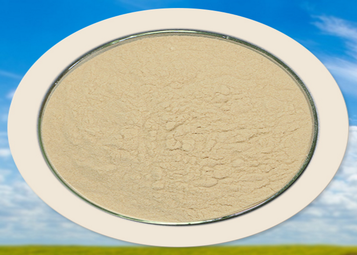 Polyaspartic Acid